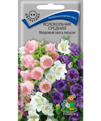 Колокольчик махровый Смесь окрасок