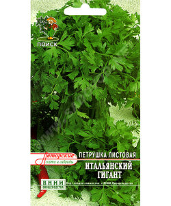 Петрушка листовая Итальянский гигант 