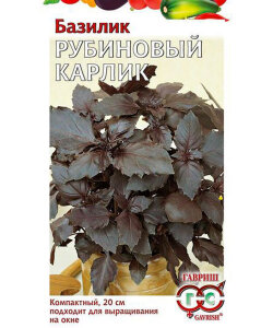 Базилик Рубиновый карлик Базилик Рубиновый карлик