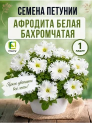 Петуния бахромчатая Афродита белая Петуния бахромчатая Афродита белая