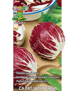 Салат цикорный Пала Росса Салат цикорный Пала Росса