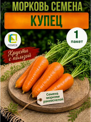 Морковь Купец