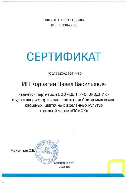 Петуния махровая многоцветковая Дуо Бургунди семена
